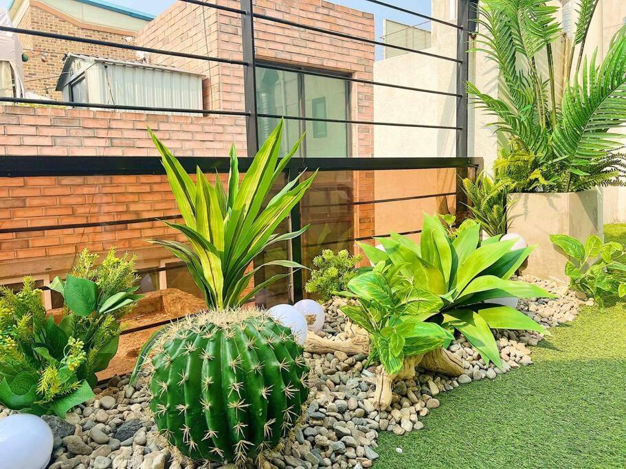 Urban Garden French Apartment