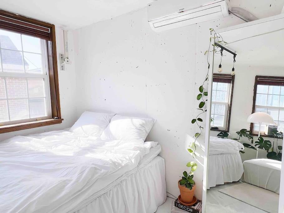 Urban Garden French Apartment